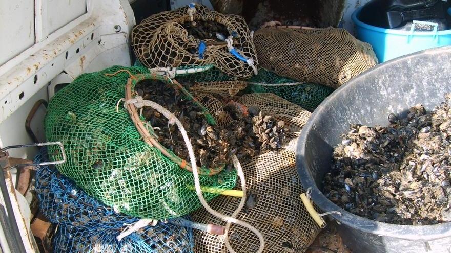 Rubano cozze per una cena tra amici, tre denunciati