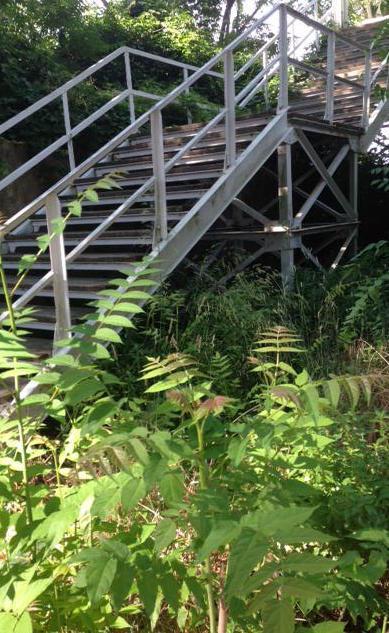 Passerelle pericolose e i divieti non bastano 