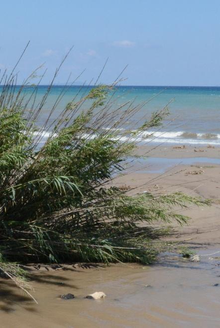 Stagione a rischio per titolari di ristoranti, chioschi e camping