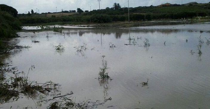 Desini: «Sostegno alle comunità colpite» 