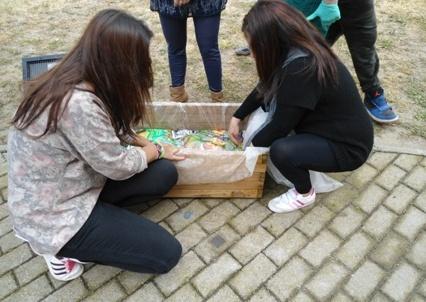 Nuovo giardino delle farfalle nel Museo del Territorio 
