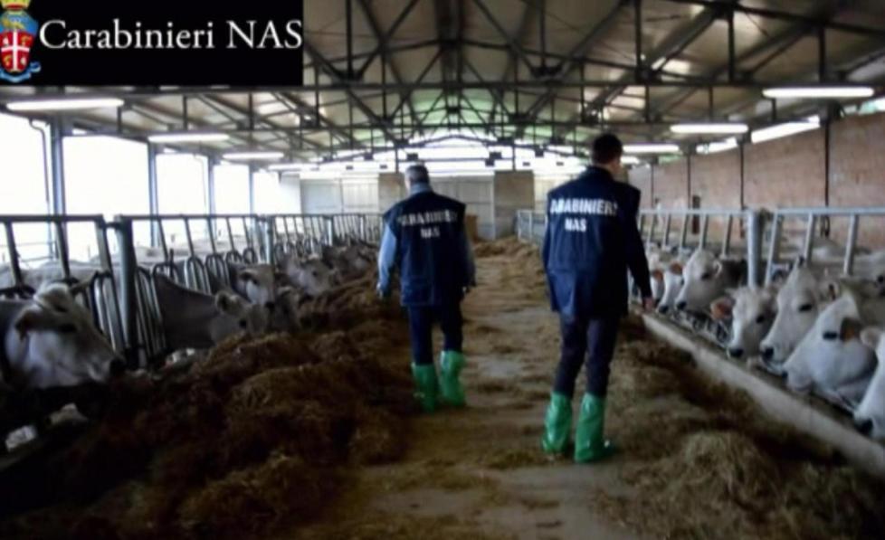 I Nas sequestrano 2.400 forme tossiche 