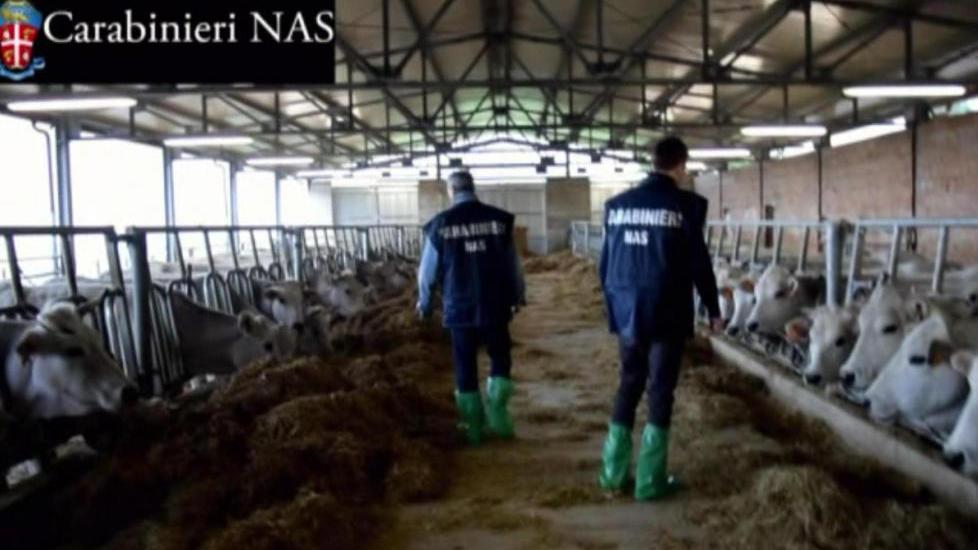 I Nas sequestrano 2.400 forme tossiche