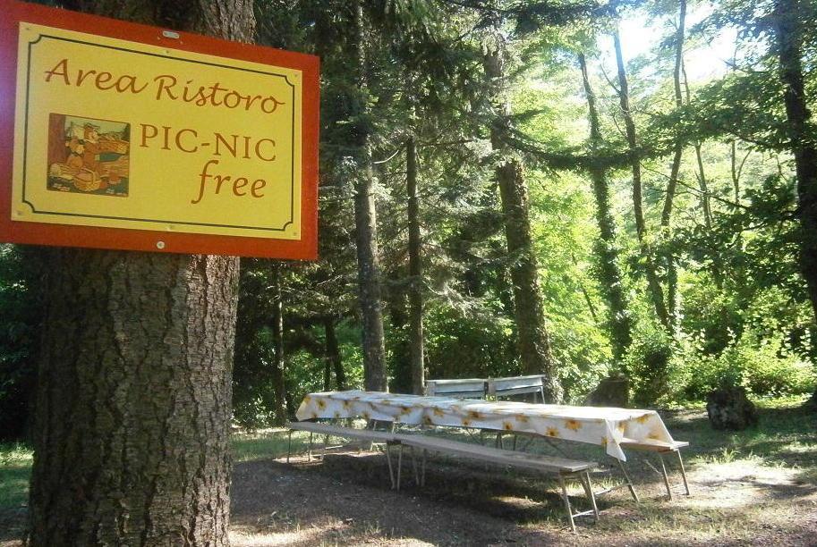 San Quirico di Pescia: nuova area pic nic in mezzo al verde 