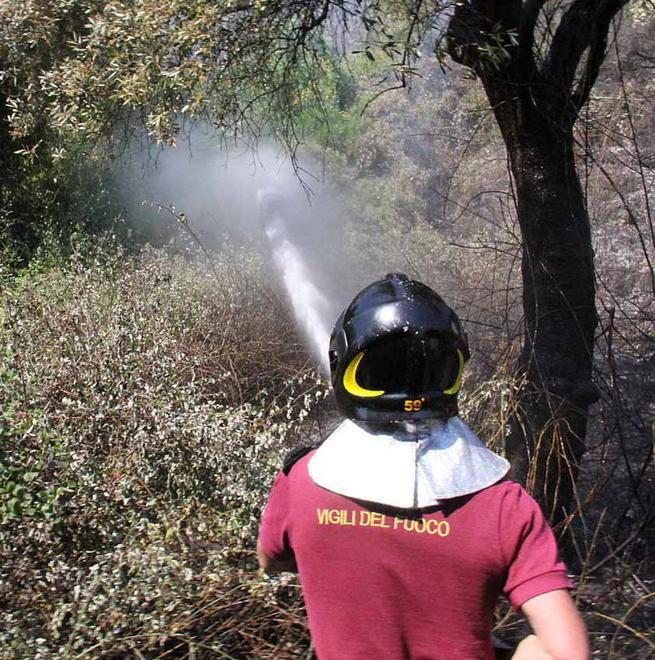 Incendio alle ex Carbonaie a fuoco sterpaglie e cannicci