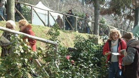Tutti insieme per sviluppare il turismo