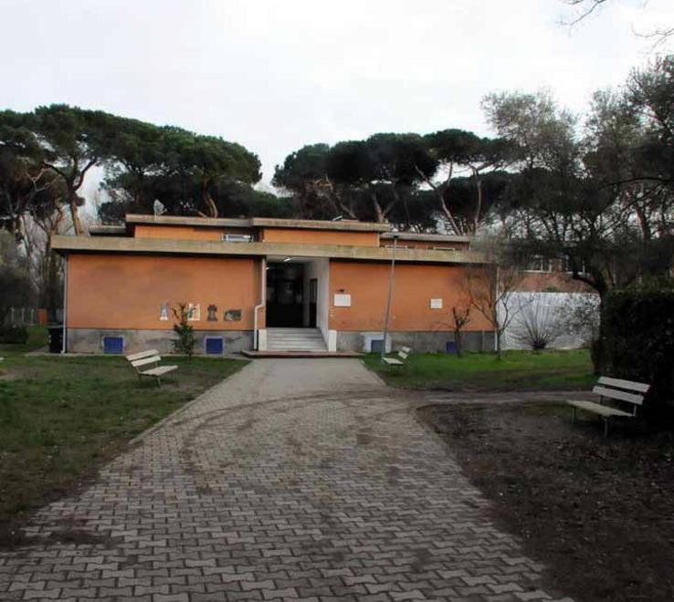 Centri estivi per i piccoli: sport e divertimento 