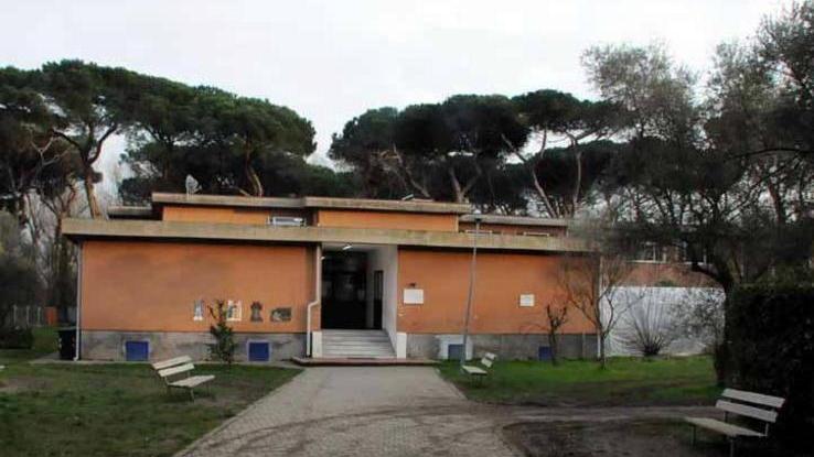 Centri estivi per i piccoli: sport e divertimento