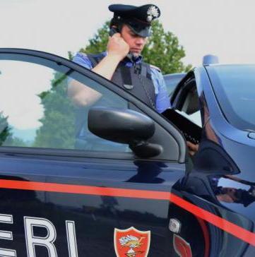 Titolare fa denunciare cameriera 
