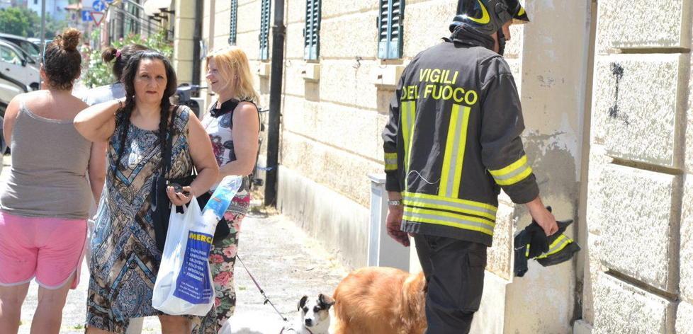 Rogo in abitazione brucia lavastoviglie salvati cane e gatti