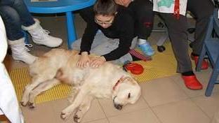 Un cane per amico: la pet therapy approda anche a Nulvi