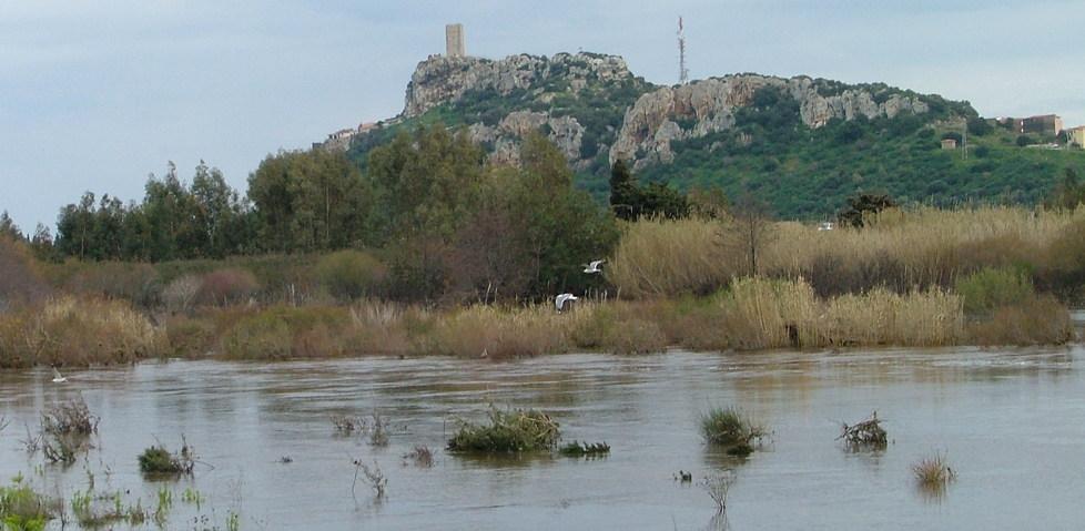 Posada, 60 pecore per i pastori vittime dell’alluvione 