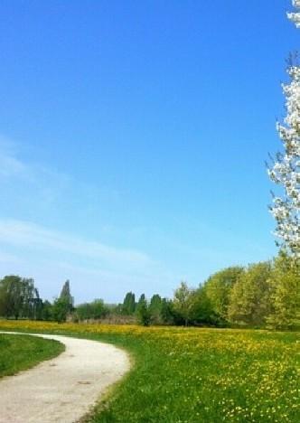 Stasera la musica africana di Madaski e Bunna