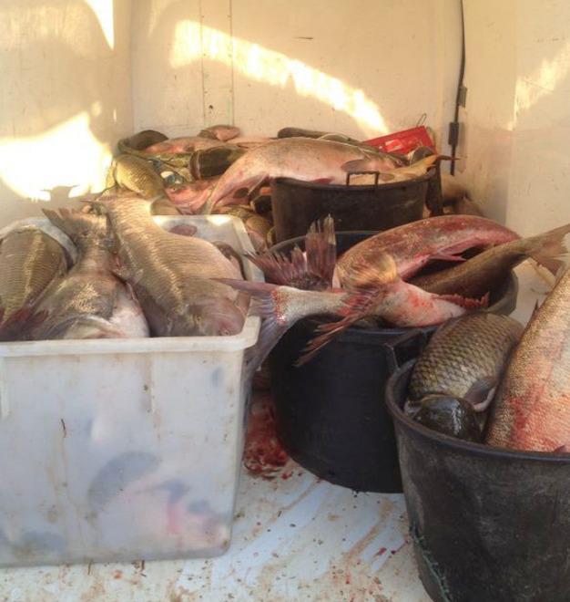 «Sono state determinanti la collaborazione e le segnalazioni fornite dai cittadini»