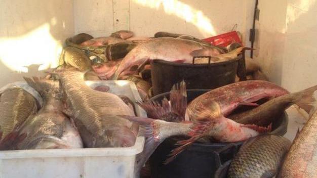 «Sono state determinanti la collaborazione e le segnalazioni fornite dai cittadini»