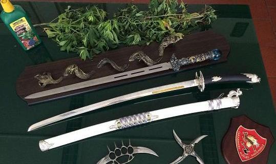 Sei piantine di “maria” e un mare di guai 