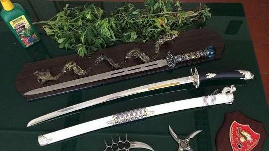 Sei piantine di “maria” e un mare di guai