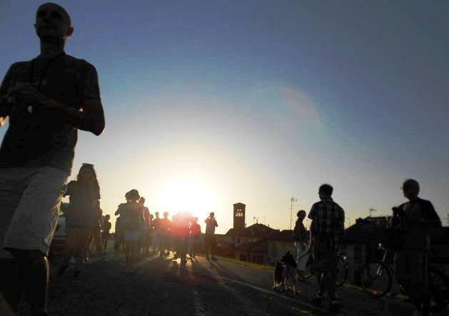 La fiera passeggia al tramonto 
