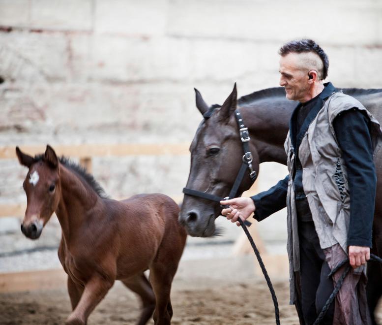 “Saga” incanta ai Chiostri 