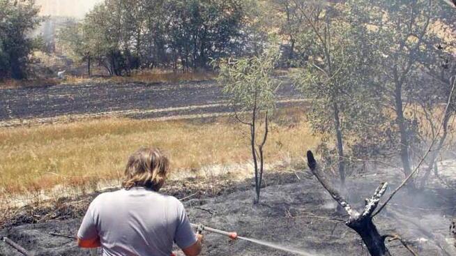 Distrutti olivi in un incendio sul Montalbano