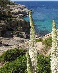 L’Unione europea premia il parco 