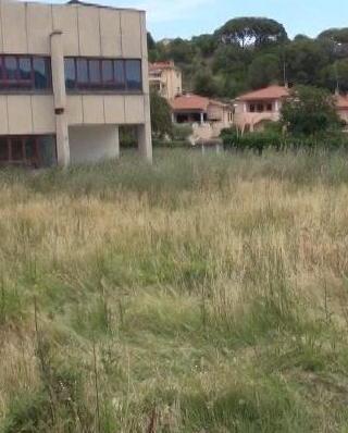 Degrado all’Isis Brignetti erba e rovi nel piazzale