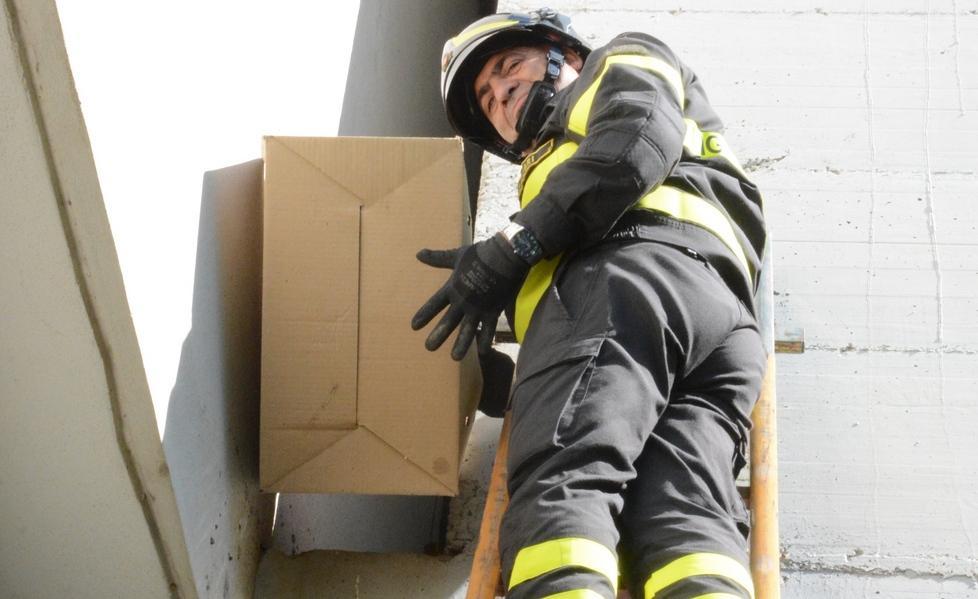 Vigili mobilitati per salvare un gheppio