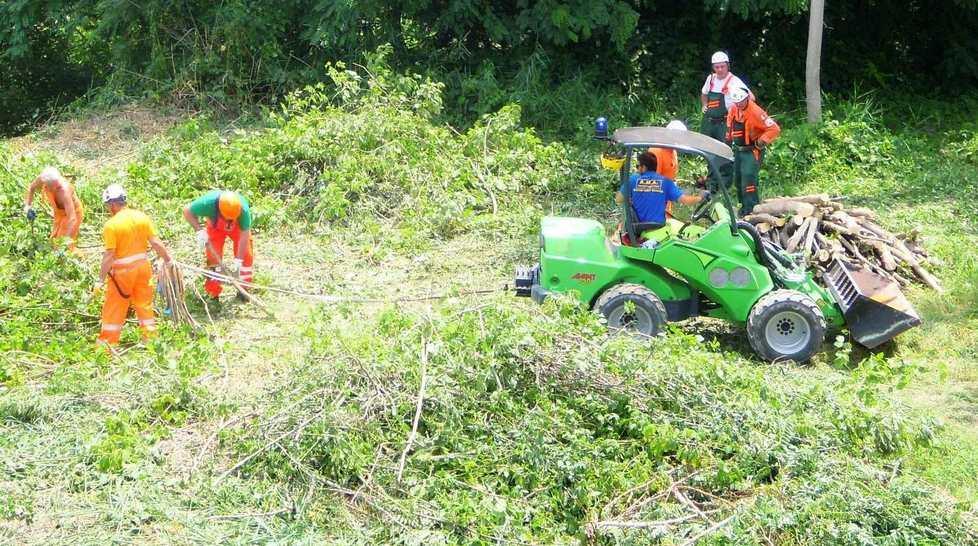 Con gli alpini ecco i fiumi sicuri 