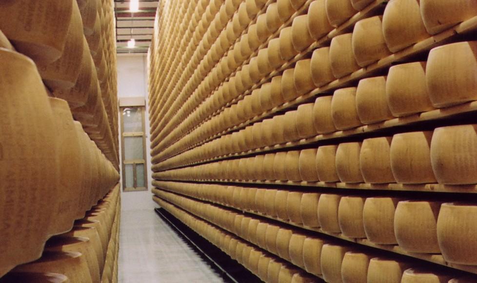 Favia: «Forme contaminate per il biogas»