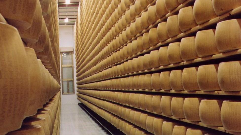 Favia: «Forme contaminate per il biogas»