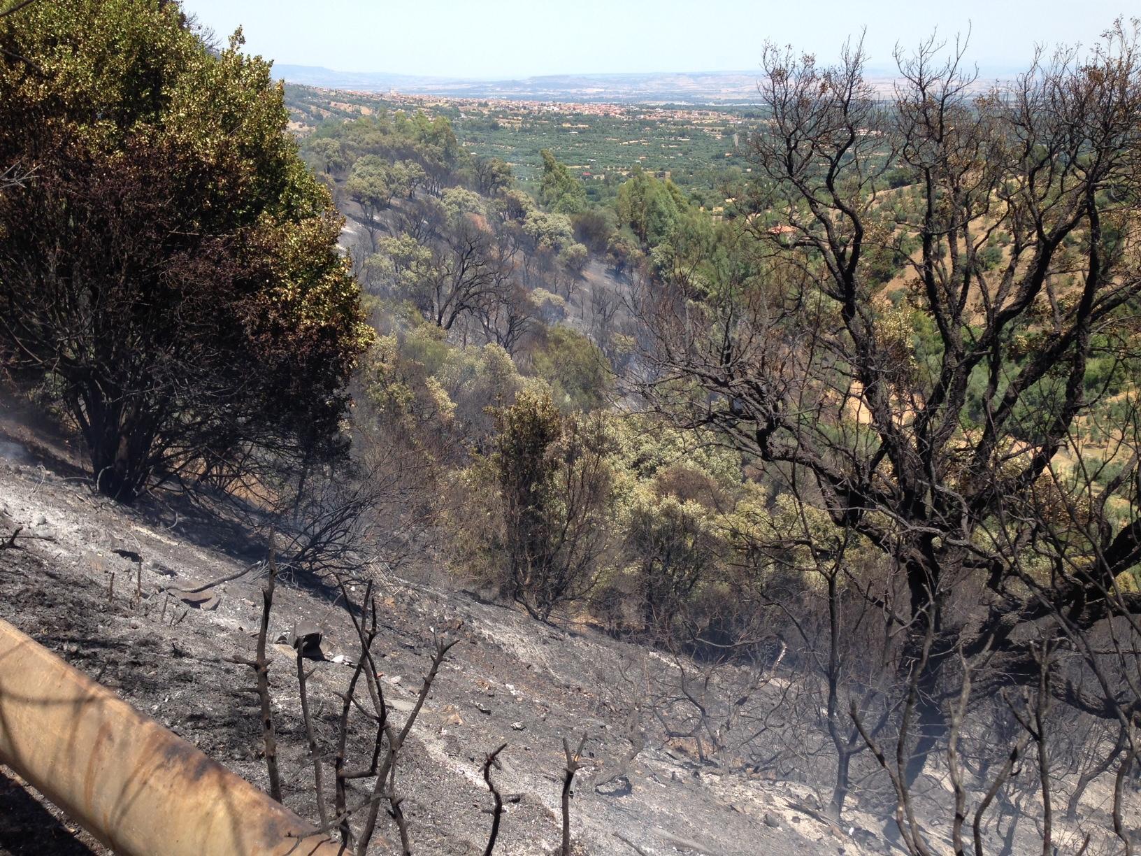 Inferno di fuoco a Carbonia, Villacidro e Geremeas: mobilitati elicotteri e mezzi a terra 