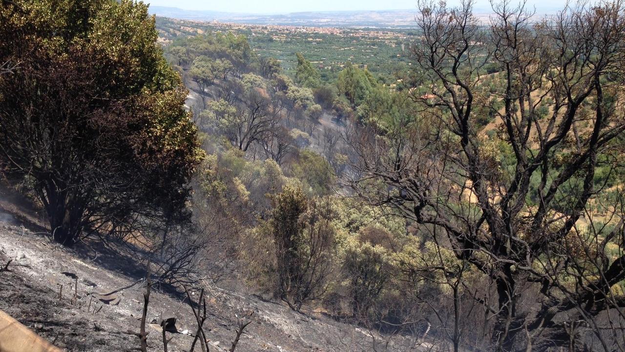 Inferno di fuoco a Carbonia, Villacidro e Geremeas: mobilitati elicotteri e mezzi a terra 