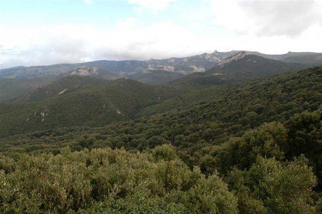 Tre escursionisti si perdono su monte Seneghe, salvati nella notte 