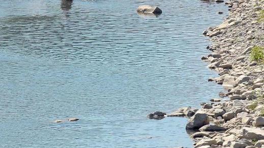 Guiglia, fingono di prendere il sole e fanno razzia nelle auto