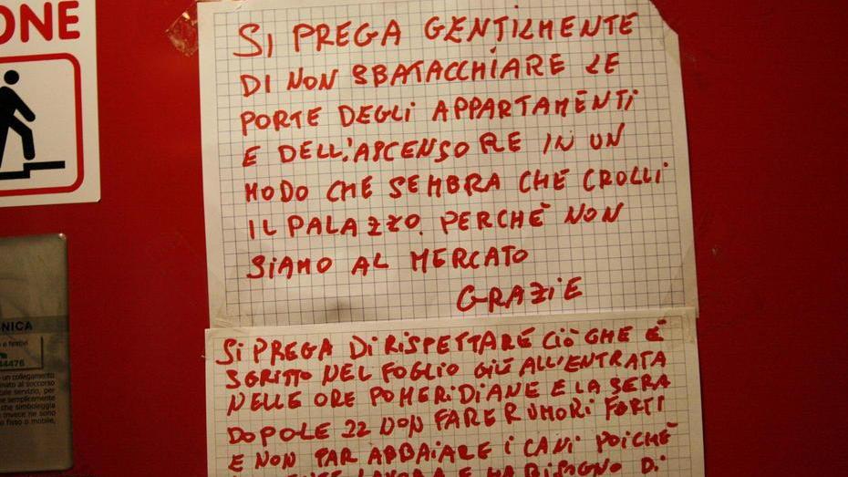 Si stufano del cane e gli vietano di abbaiare dopo le 22