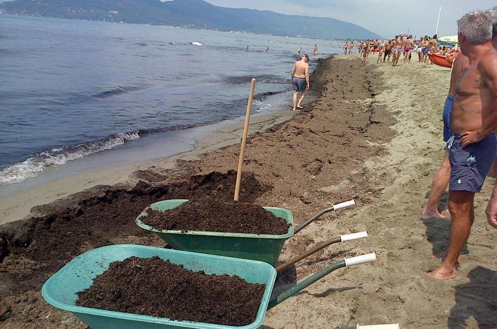 Lavarone in spiaggia indice puntato sul fiume Magra 
