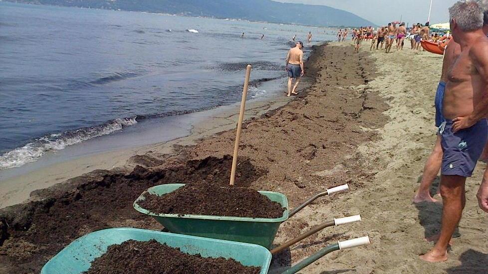 Lavarone in spiaggia indice puntato sul fiume Magra