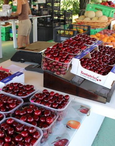 La migliore ciliegia di tutt’Italia è made in Vignola 