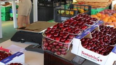 La migliore ciliegia di tutt’Italia è made in Vignola