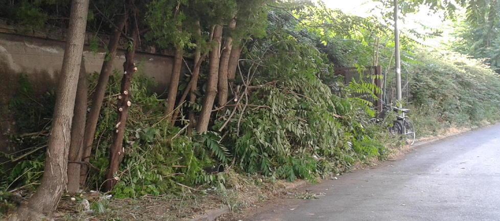 La strada è sporca, e allora ci pensano i cittadini 
