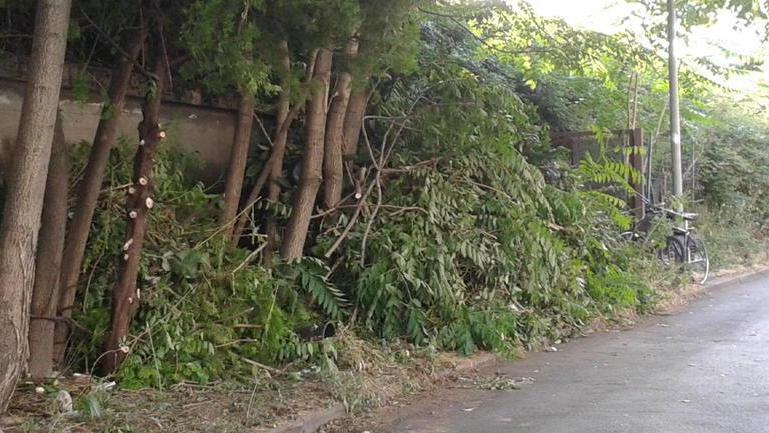 La strada è sporca, e allora ci pensano i cittadini