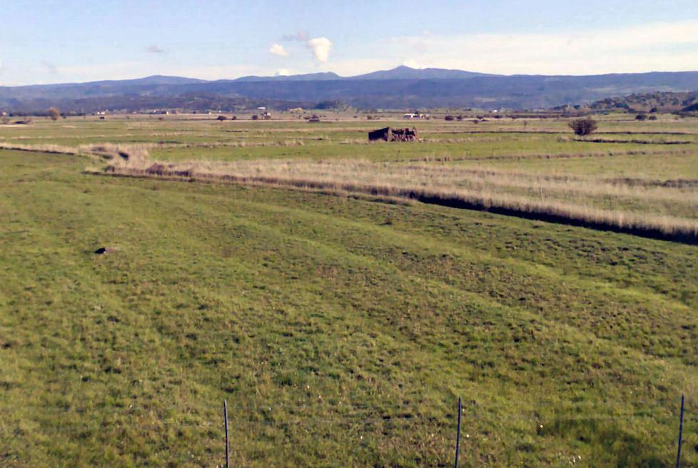 Cresce la qualità del grano sardo, nuovi orizzonti di mercato 