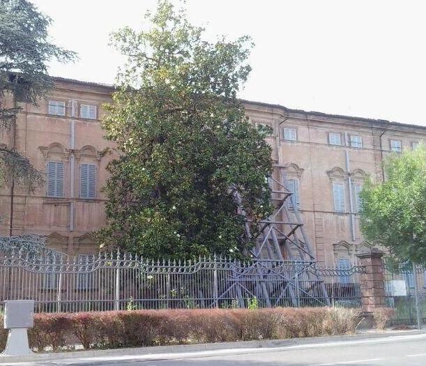 Palazzo Borsari rivive e si apre alle professioni 