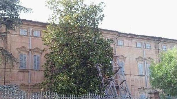 Palazzo Borsari rivive e si apre alle professioni