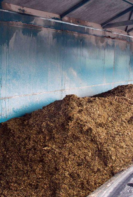 «Il biogas non inquina, anzi ‘ripulisce’»