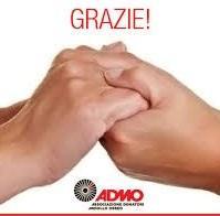 Admo, un semplice prelievo di sangue per diventare donatori di midollo osseo