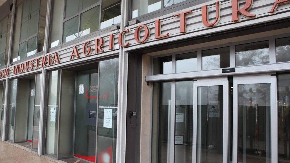 Agricoltura ancora in crisi Valore aggiunto sceso del 2%