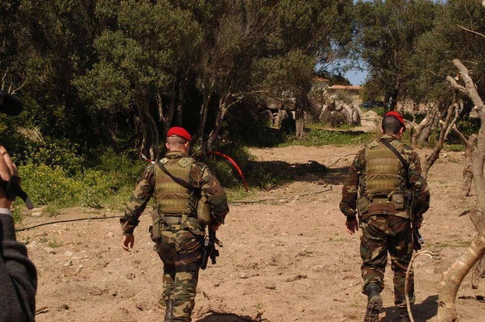 Droga, 50 chili di marijuana sequestrati nel Nuorese 