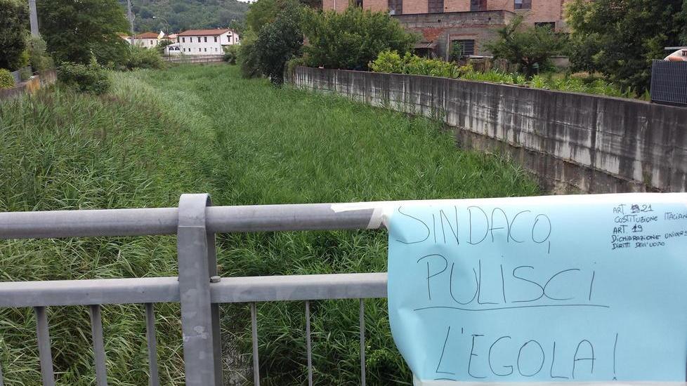 Rabbia per quelle piante nel fiume