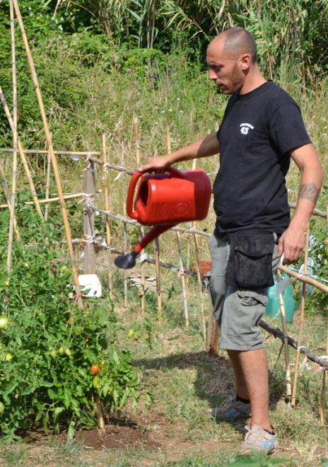 Alle spalle di via Goito spuntano bietola, melanzane e pomodori 